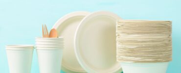 image 0dr6fu1gwe93s5k847y2tjh