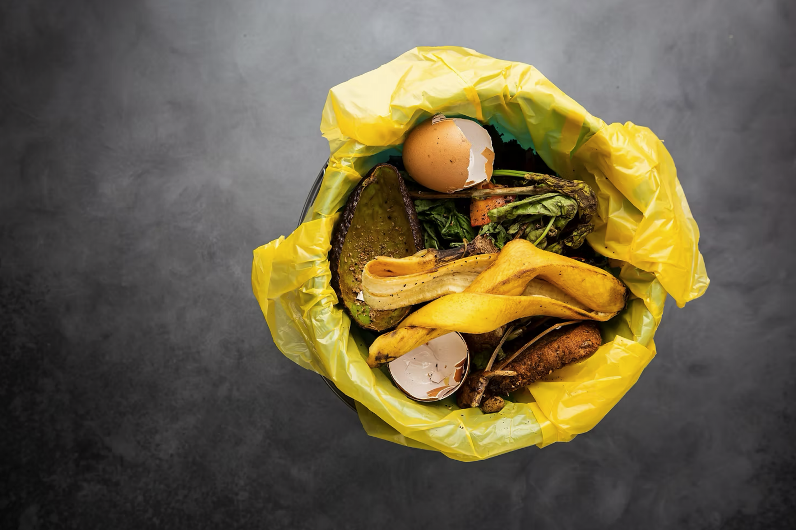 captura de pantalla 2026 03 16 a las 122651 scaled