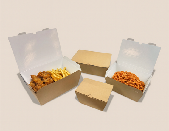 carton microcanal envapro