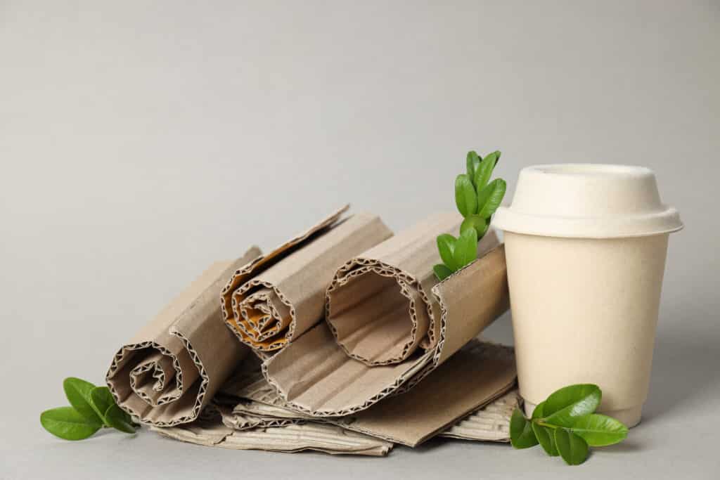 envases biodegradables 8 1