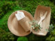 envases biodegradables3