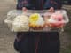 envases plastico take away 3
