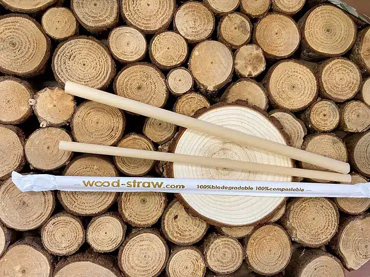 Dos pajitas de madera biodegradables y una enfundada sobre rodajas de tronco de madera