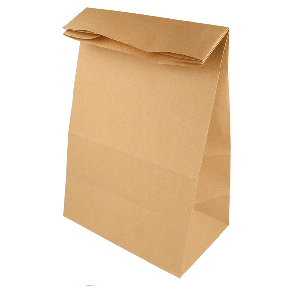 BOLSAS DE PAPEL FONDO AMERICANO imagen Envapro