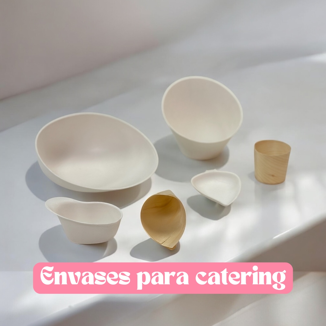 Envases desechables para catering
