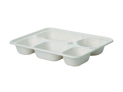 BANDEJA DE PULPA DE CAÑA DE AZUCAR 5 HUECOS 284 x 220 x 430 mm (4x75)