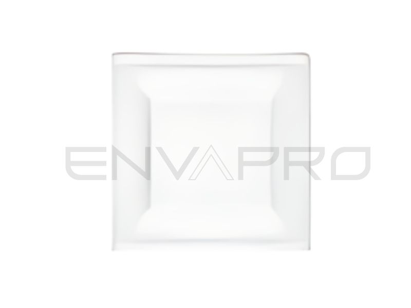 PLATO CUADRADO DE CAÑA DE AZUCAR BLANCO COMPOSTABLE 160 x 160 mm