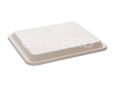 TAPA PULPA RECTANGULAR PARA BANDEJA RECTANGULAR BEPULP 300 x 240 x 40 mm 5 HUECOS